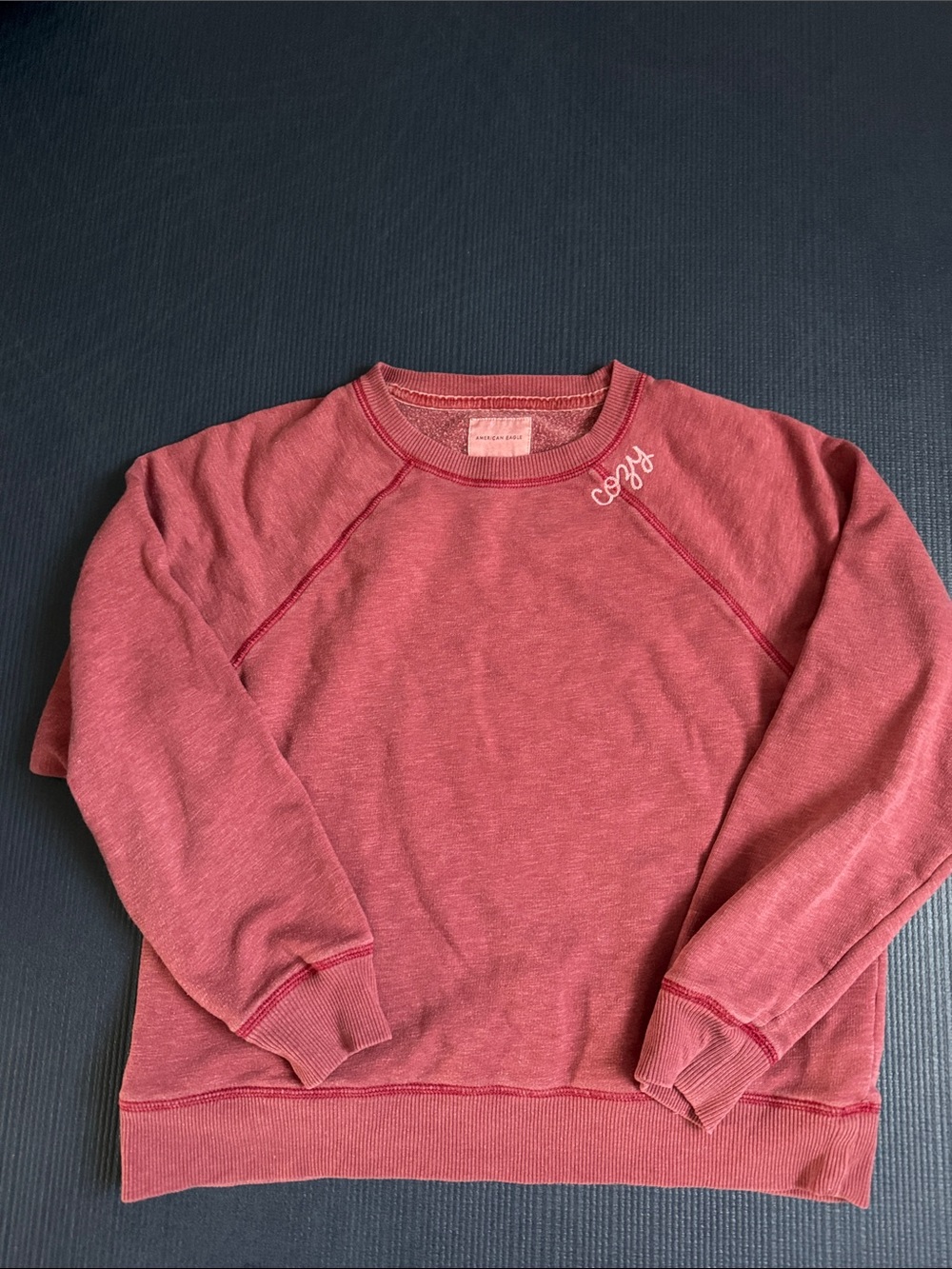American Eagle Outfitters Cozy Crewneck Sweatshirt